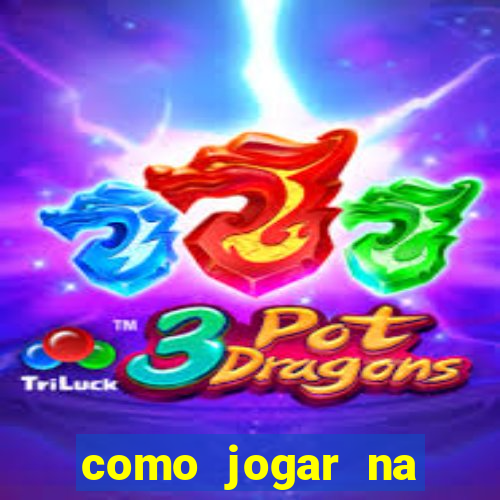 como jogar na loteca pela internet